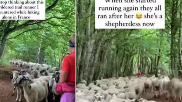 லட்சக்கணக்கான லைக் 