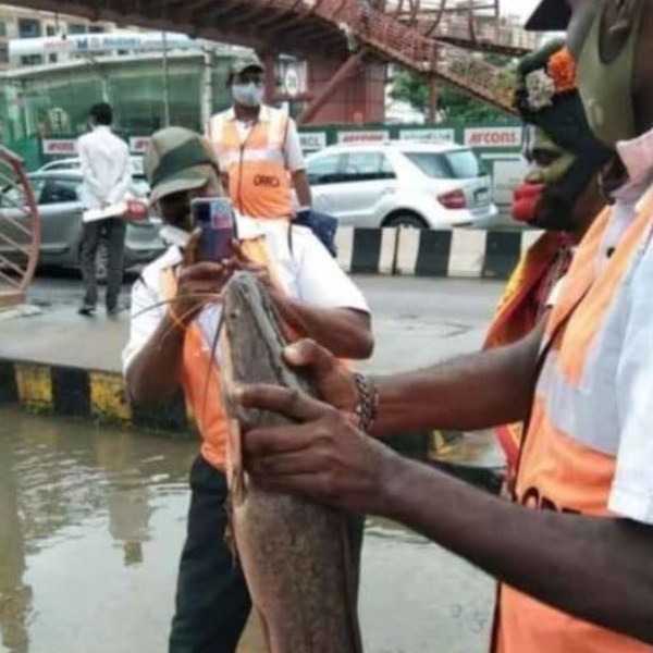 சாலையில் மீன்பிடித்த போட்டோ 