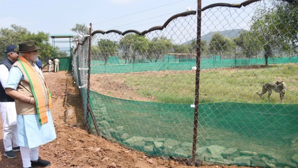 மோடி பேச்சு 