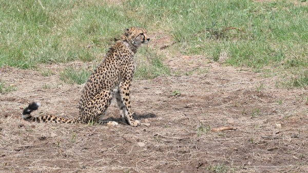  தமிழக பாரம்பரிய உடை 