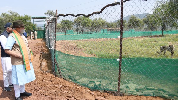 துண்டில் இருந்த அடையாளம் 