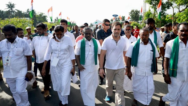 இஞ்சி டீ இஞ்சி டீ