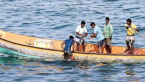 12 மீனவர்கள் கைது 12 மீனவர்கள் கைது