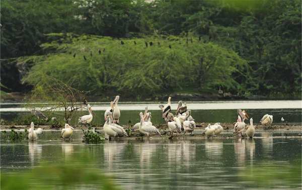 முதலமைச்சர் ட்வீட் முதலமைச்சர் ட்வீட்