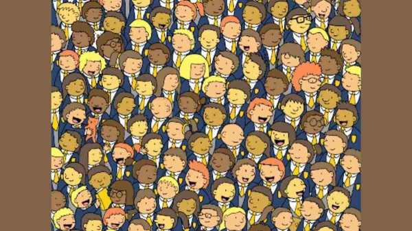 3 ஆந்தைகள் மறைந்து உள்ளன 3 ஆந்தைகள் மறைந்து உள்ளன