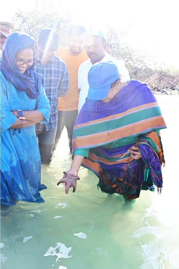 கடல் வாழ் உயிரினங்கள் 