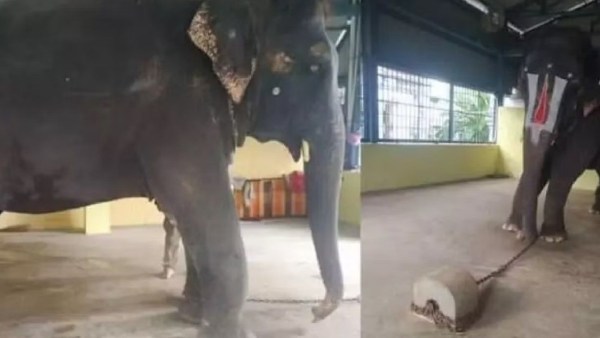 அசாம் அரசு குற்றச்சாட்டு 