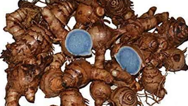 காளியின் அம்சம் கரு மஞ்சள் 