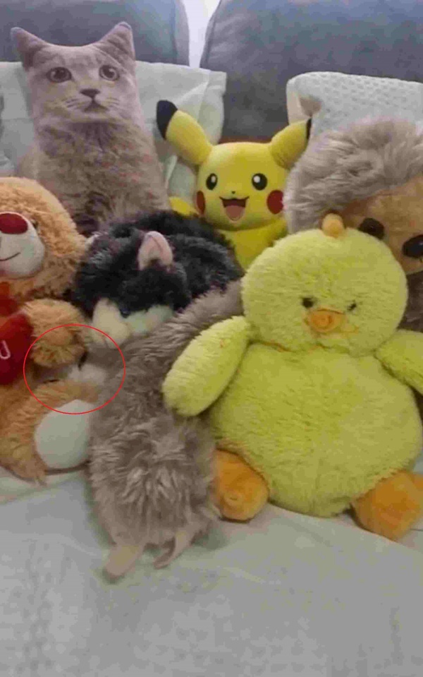 கண்களுக்கு தெரிகிறதா