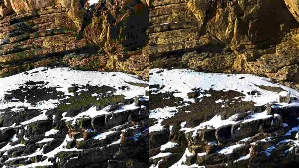  ஒளி மாயை படங்கள் 