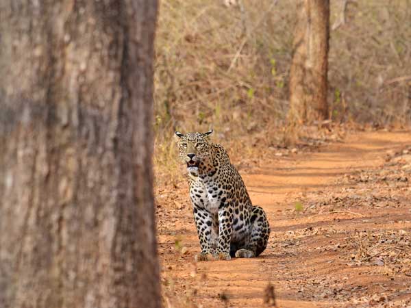  வாழும் பகுதிகள்