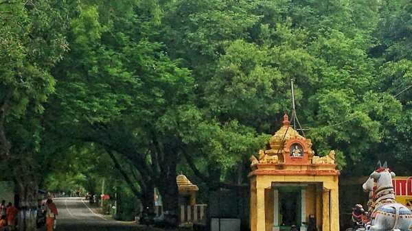  கைரேகை பதிவு 