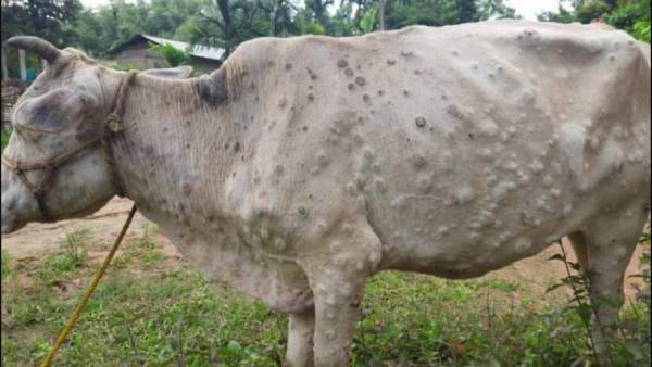 இயற்கை மருத்துவம் இயற்கை மருத்துவம்