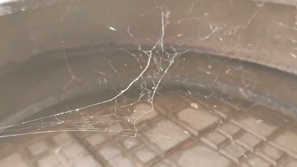 ஒட்டடை அடிக்காதீர்கள் 