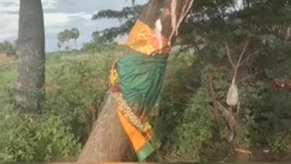  வேப்ப மரம்