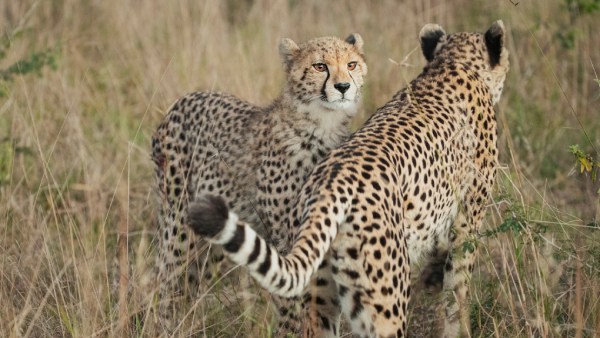 மக்கள் அச்சம் 