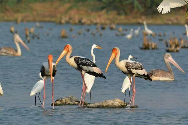 வரைவு அறிவிப்பாணை வரைவு அறிவிப்பாணை