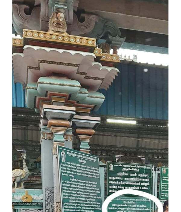 விதிகள் உள்ளது 