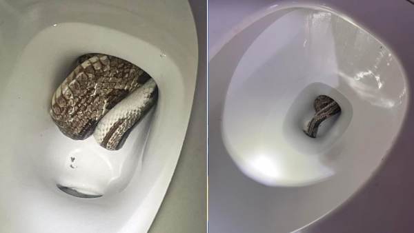 பாத்ரூம் பாத்ரூம்