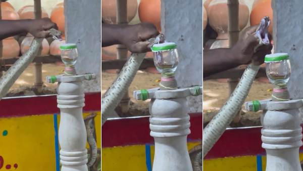 விழிப்புணர்வு 