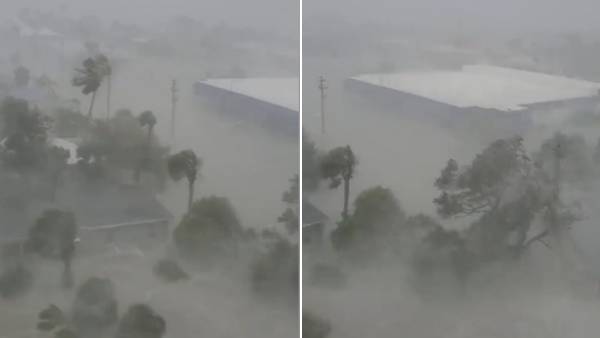 தெருக்களில் சுற்றித்திரியும் சுறாக்கள்.. 