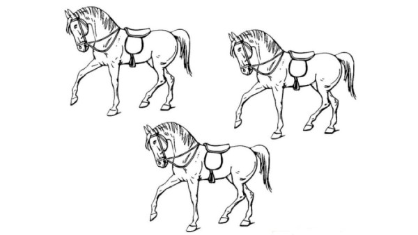 நண்பர்களுக்கு சவால் விடுவது 