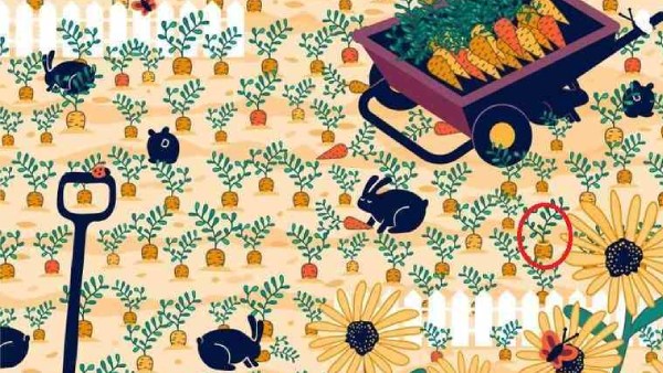 வட்டமிட்டு காட்டப்பட்டுள்ளது 