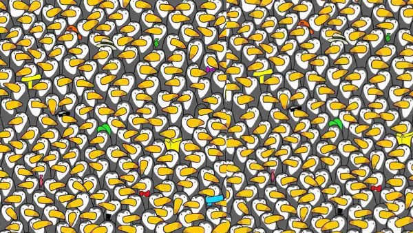 ஆப்டிகல் இல்யூஷன் படம் 