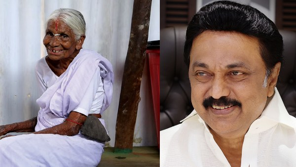 கேஸ் அடுப்பு 