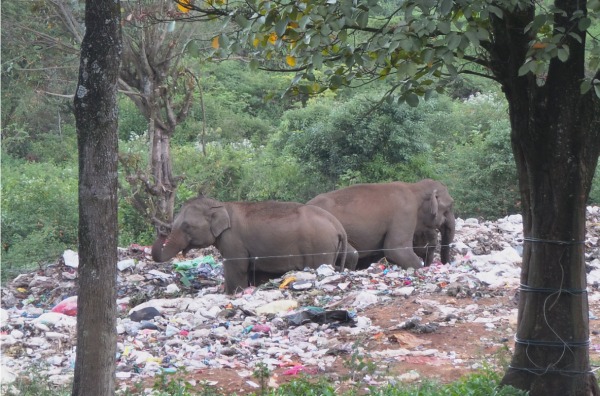 சுற்றுலாப் பயணிகளுக்கு வேண்டுகோள் 