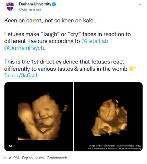 கேரட் சாப்பிட்ட கர்ப்பிணிகள் 