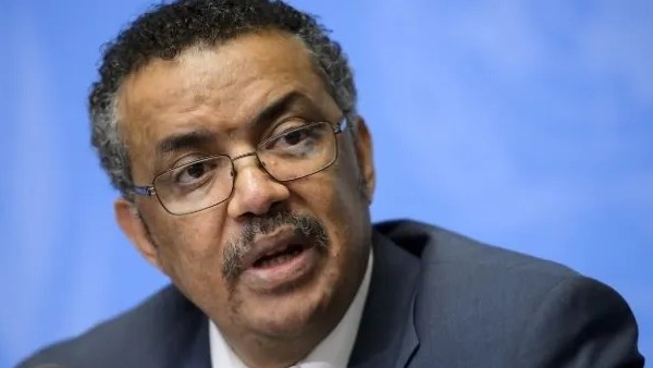 வளர்ந்த நாடுகள்தான் பொறுப்பு வளர்ந்த நாடுகள்தான் பொறுப்பு