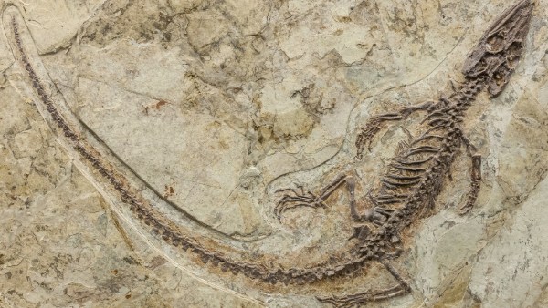 விண்கல் பூமியின் மீது மோதுவதற்கு முன்பே 