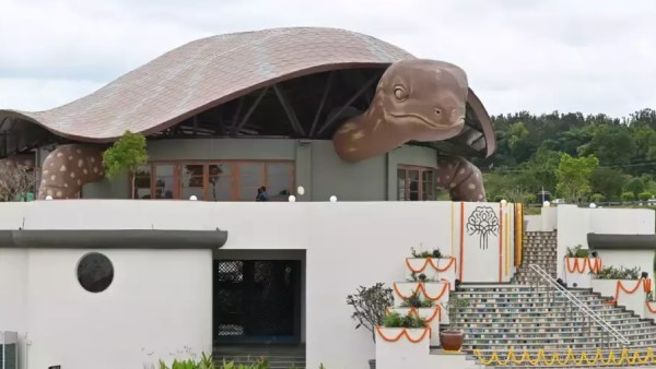 இயற்கை உணவு இயற்கை உணவு