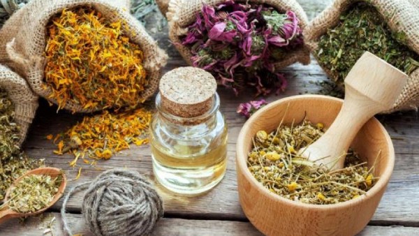 தொடர்ந்து கோரிக்கை தொடர்ந்து கோரிக்கை