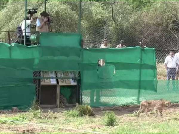 தொப்பி அணிந்தபடி 