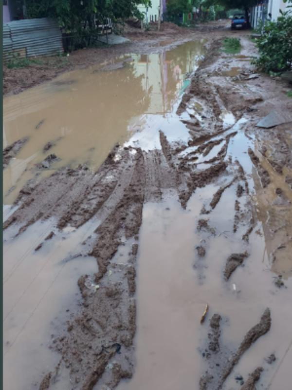  மதுரையின் சாலை 