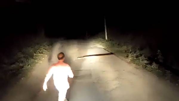 மலைப்பாம்பு 