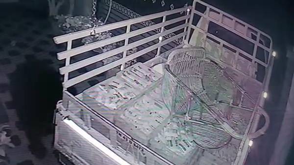 கரடி அட்டகாசம்