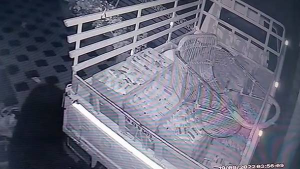 குடியிருப்புக்குள் கரடி