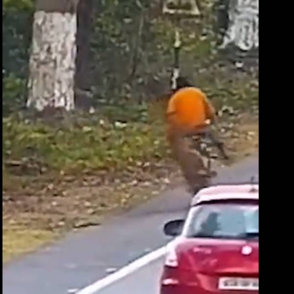 பாய்ந்து வந்து தாக்கிய சிறுத்தைப்புலி