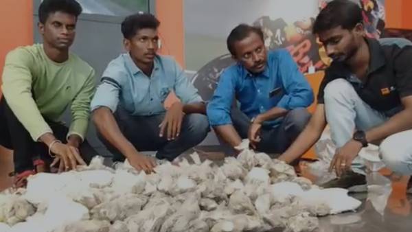 சாக்கு மூட்டை