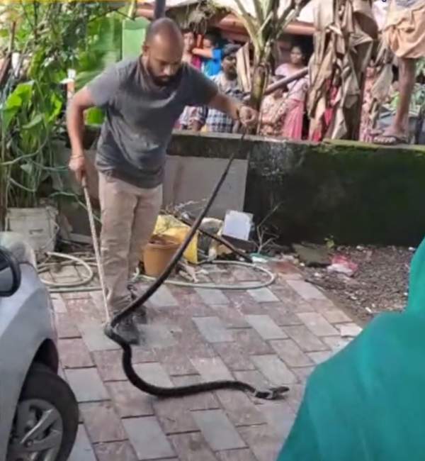 10 நாட்கள் 