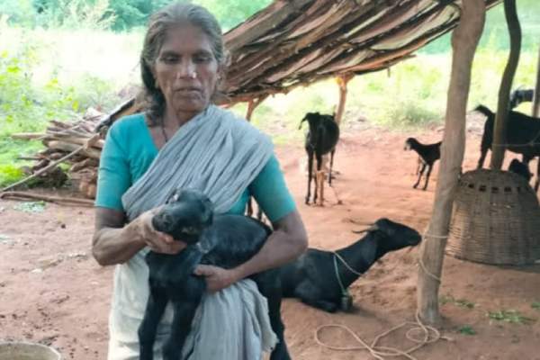 அதிகரிக்கும் எண்ணிக்கை அதிகரிக்கும் எண்ணிக்கை