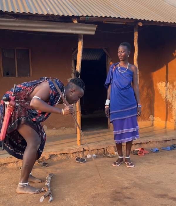 கால்நடைகள் 