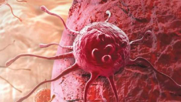  குழந்தைகளும் கூட 