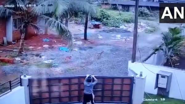  கேரளாவில் நாய்கள்