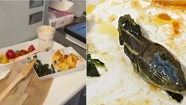 அதிகாரிகள் அதிகாரிகள்