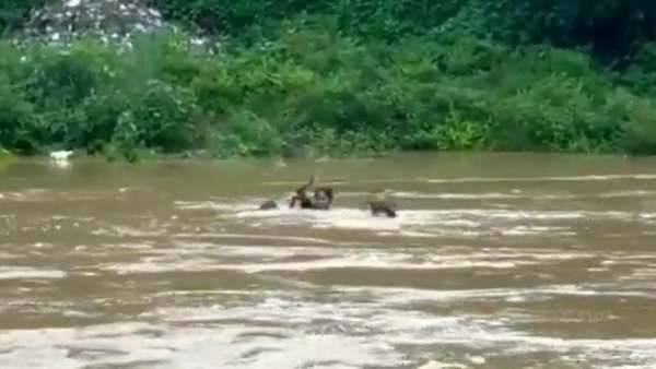 தோள் கொடுத்த சகோதரன்