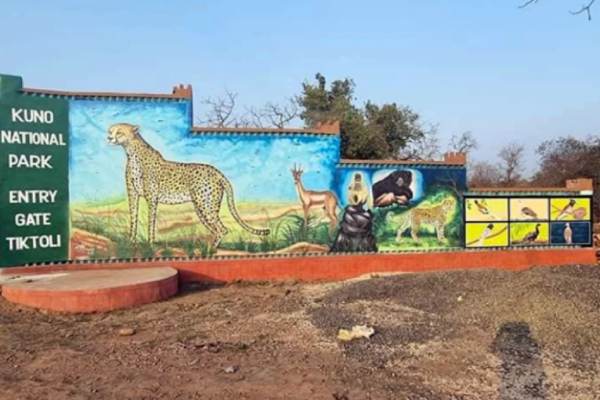 எப்படி உணவளித்து வளர்க்கும் 